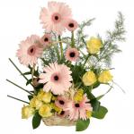 Buchet flori Festival de vara