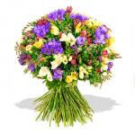 Buchet de 51 frezii mov