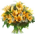 Buchet de 15 crini galbeni