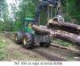 Tractoare articulate forestiere - Tractor articulat forestier cu troliu si brat hidraulic NF 160 - imagine 11787