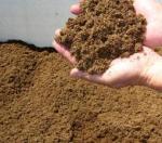 EcoSorb - Absorbant petrolier biodegradabil pe baza de turba