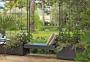 Structuri plante cataratoare - imagine 32916