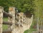 Amenajari exterioare piatra naturala - imagine 12662