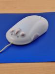 Mouse optic... cameleon