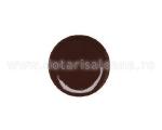 Brown Color Gel 5g 011