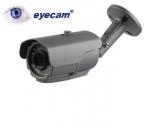 Camera supraveghere exterior 600TVL ICR Eyecam EC-221