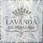 Am lansat wesitul butasidelavanda.ro