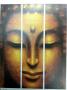 Paravan decorativ - imagine 72502