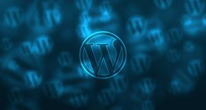 Introducere in SEO pentru site-uri Wordpress
