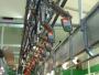 Instalatie de muls la platforma BANAT BRADULET - imagine 1727