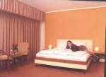 HOTEL HERSATRAU 3* - Bucuresti