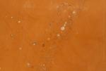 Marmura Golden Brown