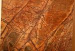 Marmura Rain Forest Gold