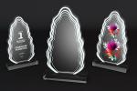 Trofee din Acril PSW 129