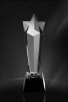 Trofee din Cristal CR 04