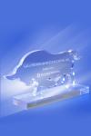 Trofee Personalizate TU 18