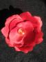 Elastic par cu floare din material textil rosu - imagine 5512