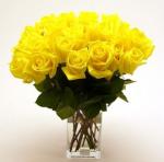 Buchet de 23  trandafiri galbeni