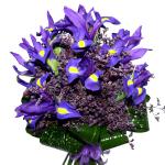Buchet de 11 irisi mov