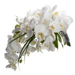 Buchet de 3 orhidee phalaenopsis albe