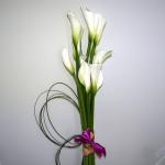Buchet de 9 cale albe