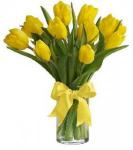 Buchet de 11 lalele galbene