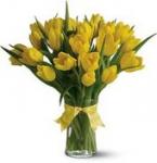 Buchet de 35  lalele galbene