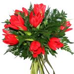 Buchet de 11 lalele rosii