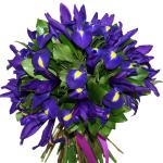 Buchet de 25 irisi mov