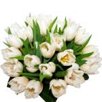 Buchet de 45 lalele albe