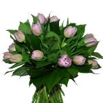 Buchet de 25 lalele mov
