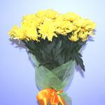 Buchet de 15 crizanteme galbene