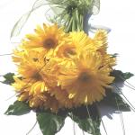 Buchet de 15 gerbera galbene