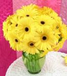 Buchet de 25 gerbera galbene