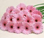 Buchet de 19 gerbera roz