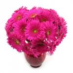 Buchet de 25 gerbera roz