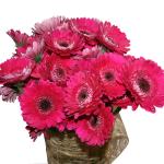 Buchet de 35 gerbera roz