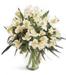 Buchet de 25 alstroemeria albe