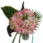 Buchet de 15 alstroemeria roz