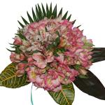 Buchet de 19 alstroemeria roz