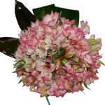 Buchet de 25 alstroemeria roz