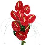 Buchet de 9 Anthurium rosii