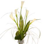 Buchet de 5 cale albe
