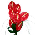 Buchet de 7 Anthurium rosii