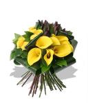 Buchet de 11 cale galbene