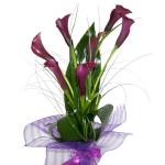 Buchet de 7 cale mov