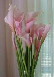 Buchet de 11 cale roz