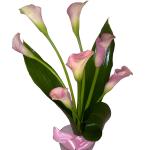 Buchet de 7 cale roz