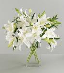 Buchet de 11 crini albi