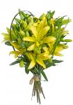 Buchet de 11 crini galbeni